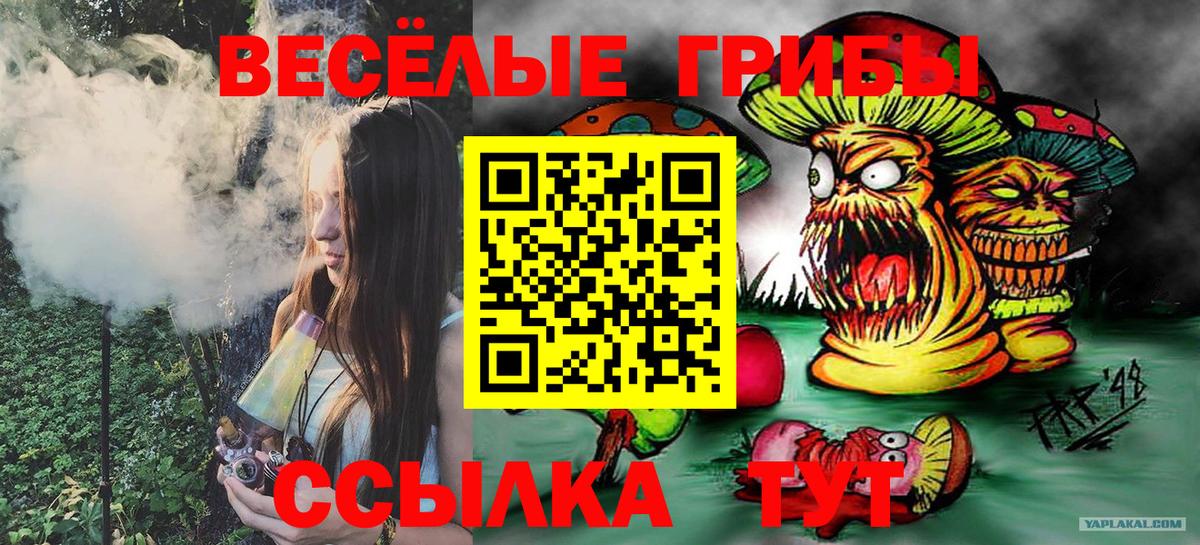 Каменск-Уральский  что такое наркотик  Вход с VPN  Галлюциногенные грибы прущие грибы 